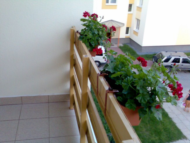Jakie kwiaty na balkon